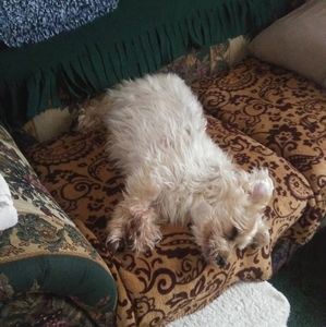 Meet your Posher, Debra